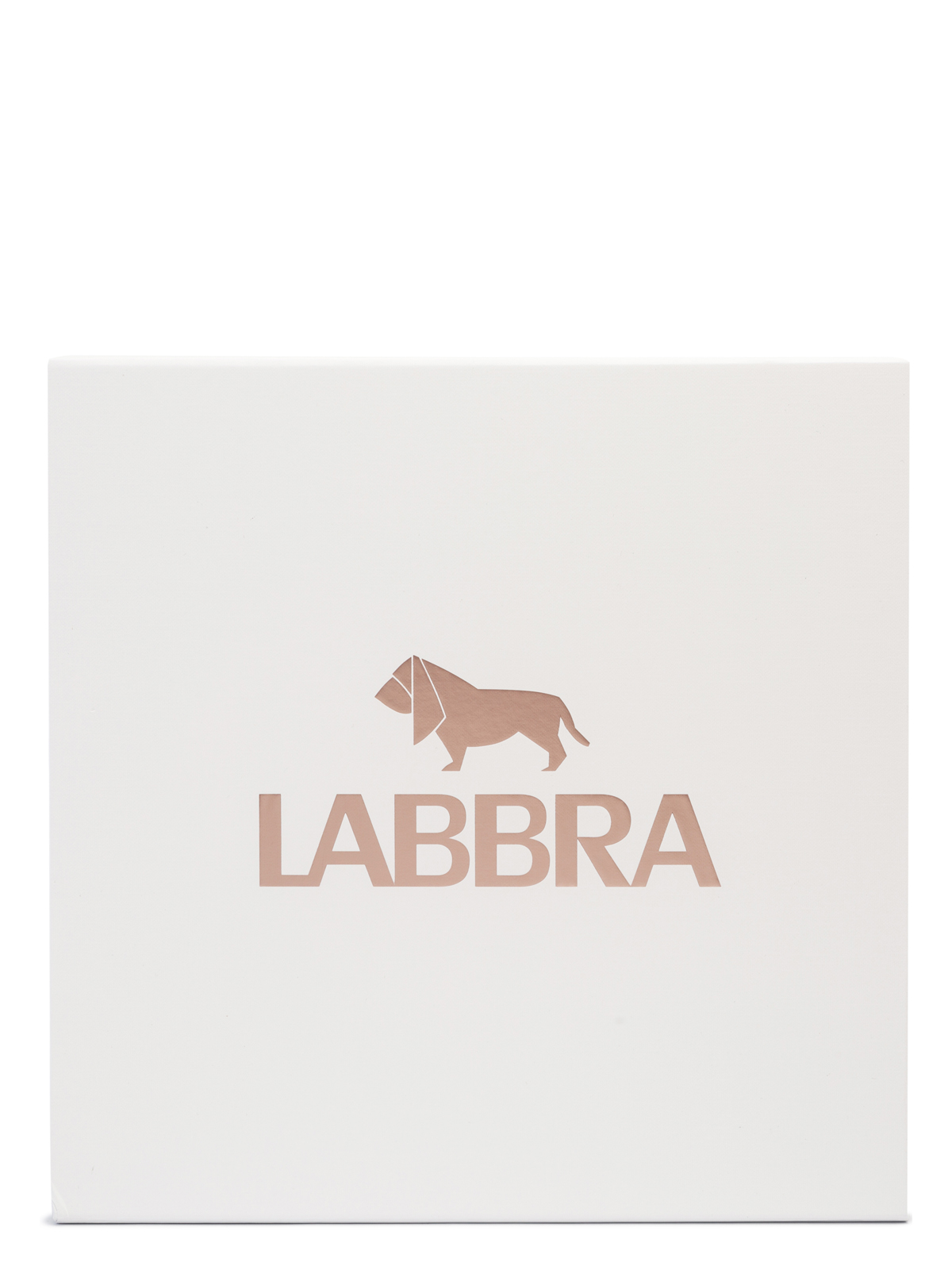 Подарочная коробка с тишью Labbra 28х28х5 2023